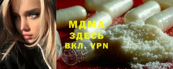 молекула духа Богданович