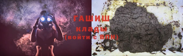мдпв Богородицк