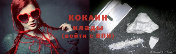 молекула духа Богданович