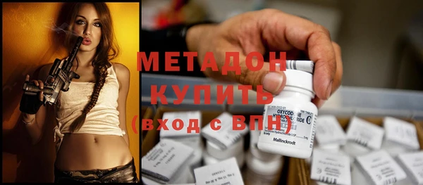 молекула духа Богданович