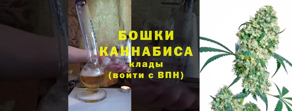 мдпв Богородицк