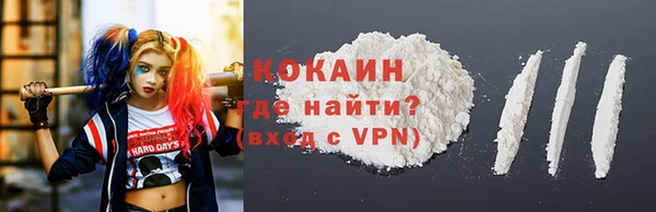 молекула духа Богданович