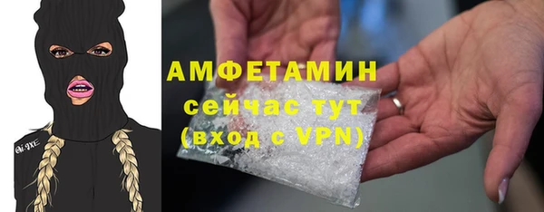 мдпв Богородицк