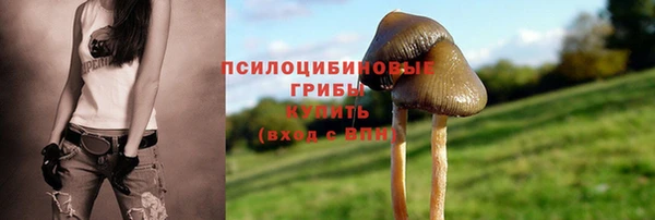 молекула духа Богданович
