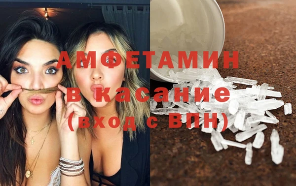 молекула духа Богданович