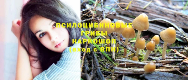 мдпв Богородицк