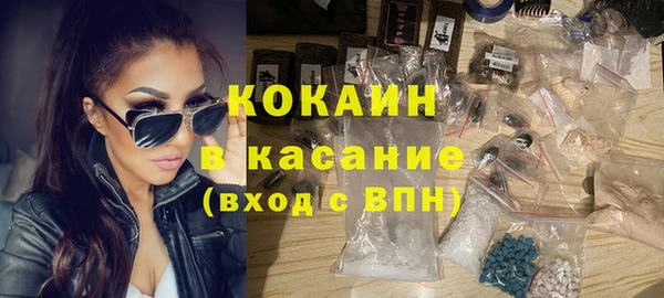 молекула духа Богданович