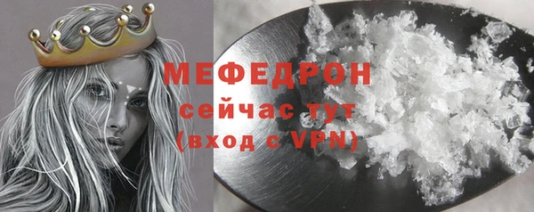 молекула духа Богданович