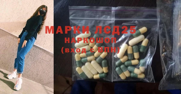 молекула духа Богданович