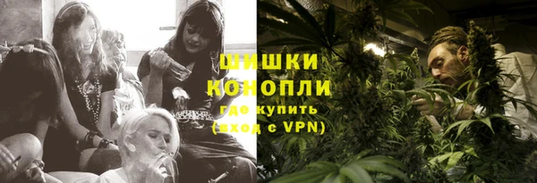 молекула духа Богданович