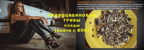 мдпв Богородицк