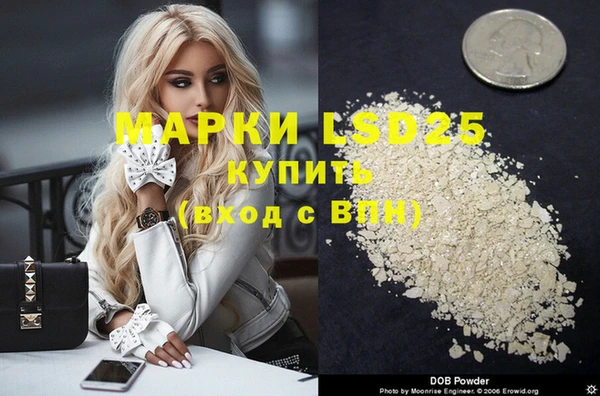 молекула духа Богданович